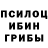 Псилоцибиновые грибы MAGIC MUSHROOMS Radoslav Todorov