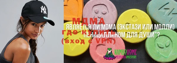 стаф Осинники