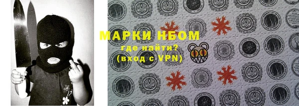 стаф Осинники