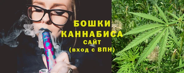 стаф Осинники